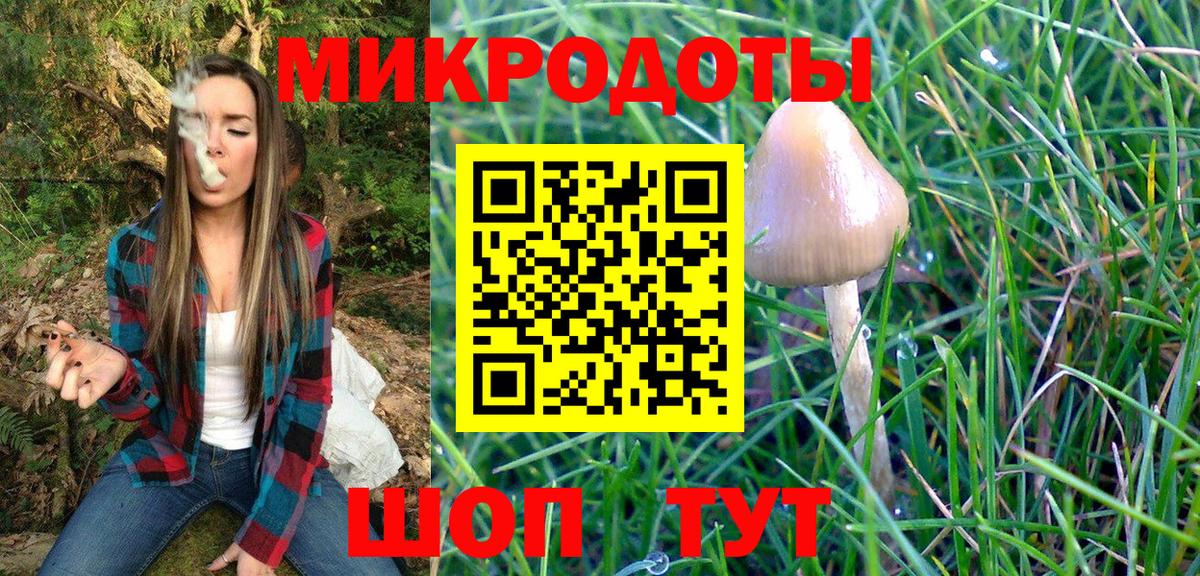 Псилоцибиновые грибы Psilocybine cubensis  Вход с VPN  Учалы  Галлюциногенные грибы GOLDEN TEACHER 