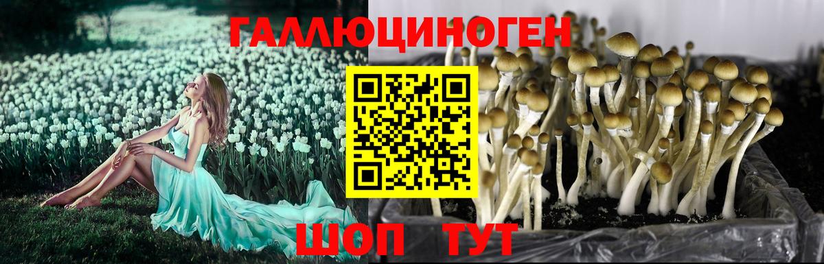 ГАШИШ Учалы